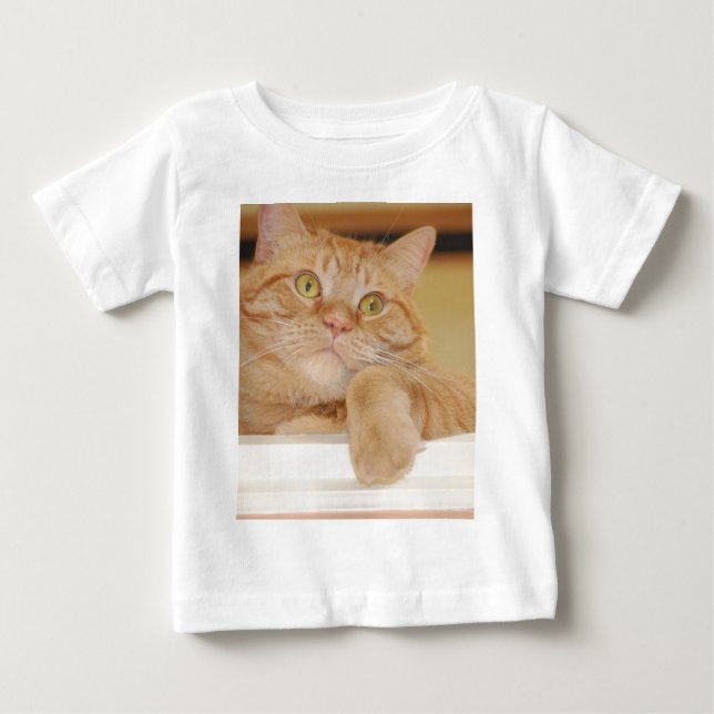 Orange Tabby katt T-shirt (Framsida)