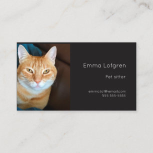 Orange tabby katthusdjurbarnvakt visitkort