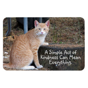 Orange tabby kattmagnet för vänlighet magnet