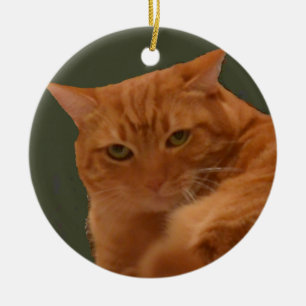 Orange tabby kattprydnad julgransprydnad keramik