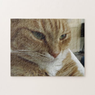 Orange tabby kattpussel pussel