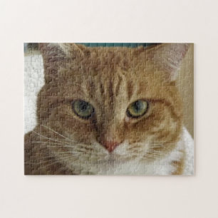 Orange tabby kattpussel pussel