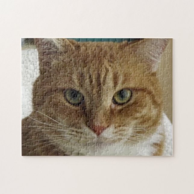 Orange tabby kattpussel pussel (Horisontell)