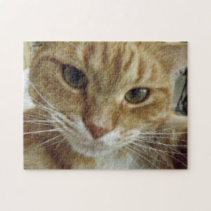 Orange tabby kattpussel pussel