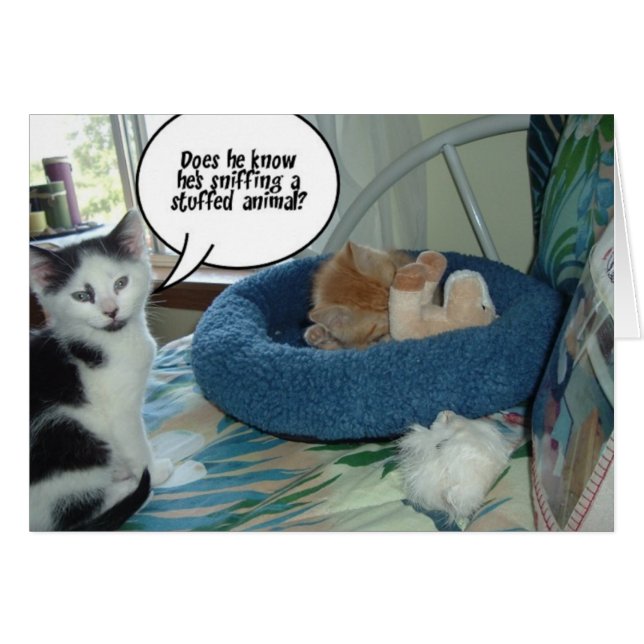 Orange Tabby Kattunge Hälsningskort (Framsidan Horizontal)