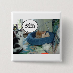 Orange Tabby Kattunge Knapp