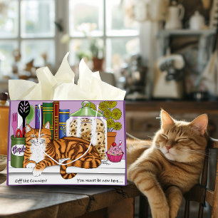 Orange Tabby Kitchen Counter Top Cat
