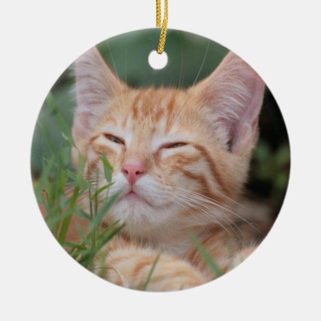 Orange Tabby Kitten ornament (Framsidan)