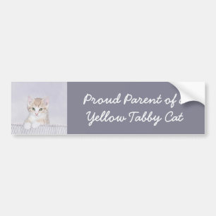 Orange Tabby Kitten Painting - Originalkassett Bildekal