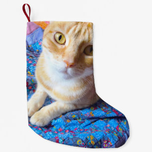 Orange tabby på täcke liten julstrumpa