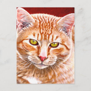Orange Tabby Paeing Vykort