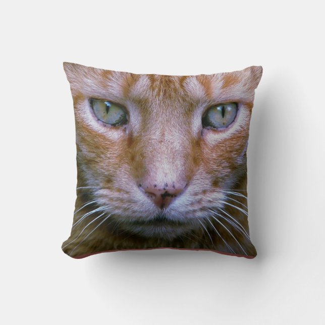 Orange Tabby Pillow Kudde (Framsida)