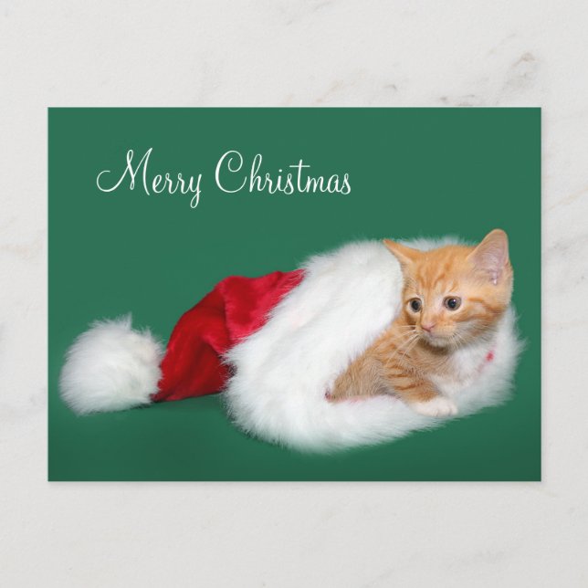 Orange tabby Santa hat Helg Vykort (Framsida)