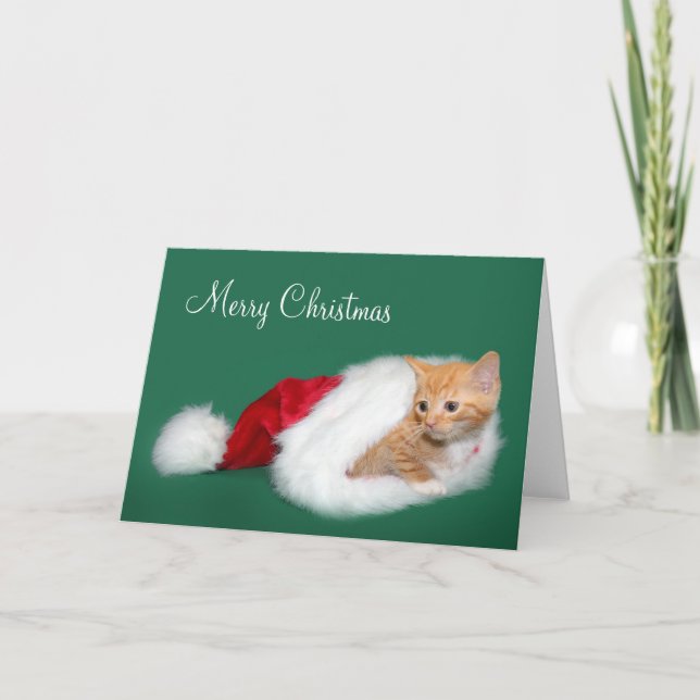 Orange tabby Santa hat Helgkort (Framsida)