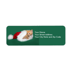 Orange tabby Santa hat Returadress Etikett