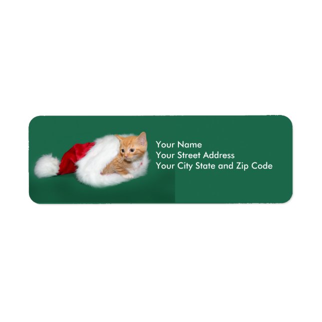 Orange tabby Santa hat Returadress Etikett (Framsidan)