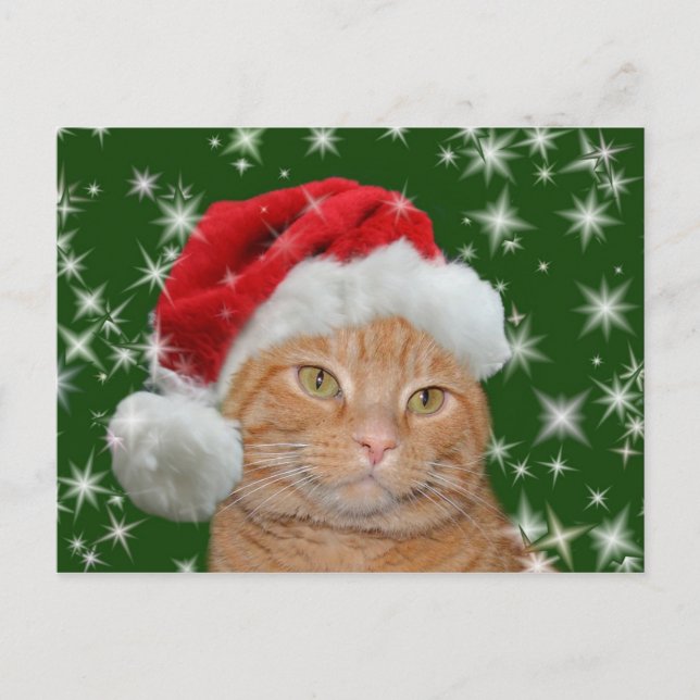 Orange, tabby Santa Helg Vykort (Framsida)
