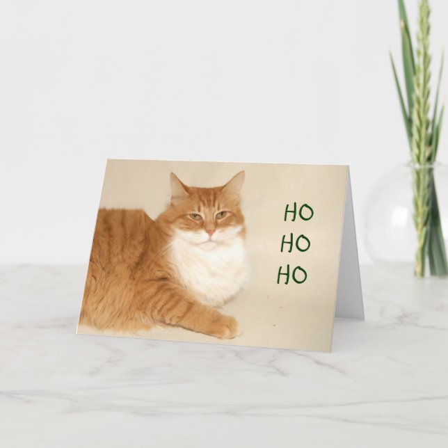 Orange tabby Santa Helgkort (Framsida)