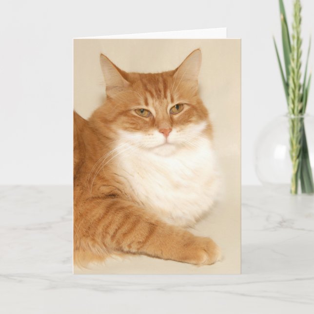 Orange, tabby Santa Helgkort (Framsida)