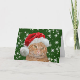 Orange tabby Santa Helgkort