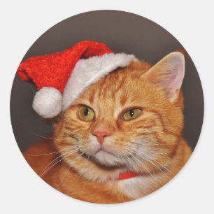 Orange Tabby Santa Katt Kuvert Försegling Klisterm Runt Klistermärke