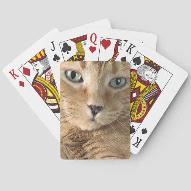 Orange Tabby som leker kort Casinokort (Baksidan)