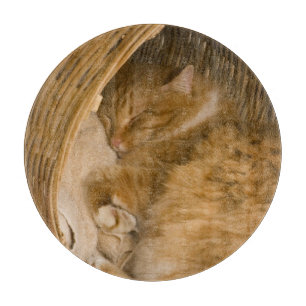 Orange tabby som sover i korg
