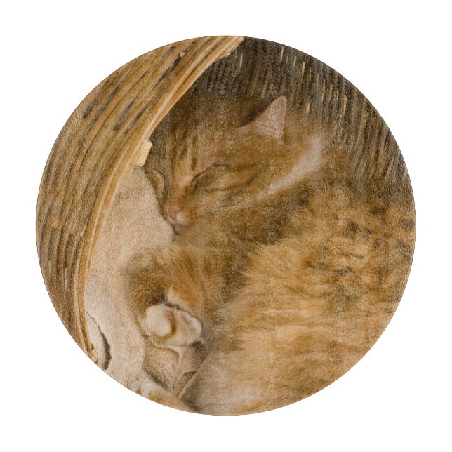 Orange tabby som sover i korg (Framsidan)