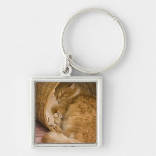Orange tabby sover i korg fyrkantig silverfärgad nyckelring