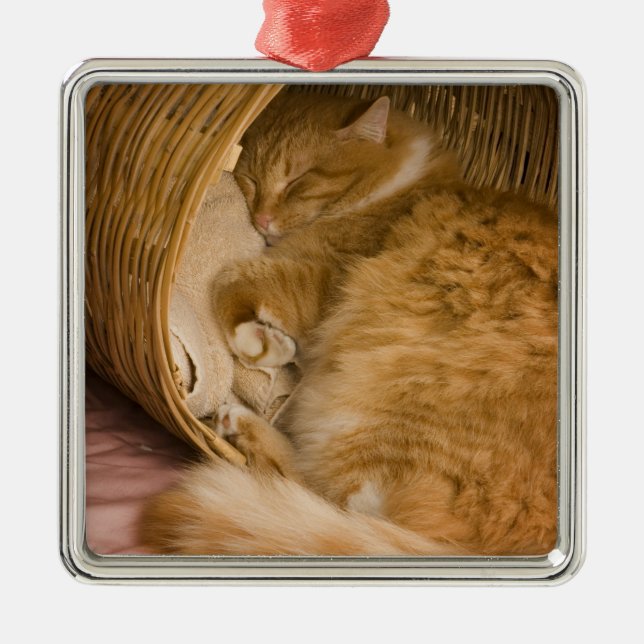 Orange tabby sover i korg julgransprydnad metall (Framsidan)
