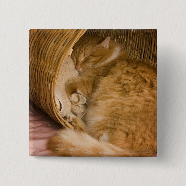Orange tabby sover i korg knapp (Framsida)