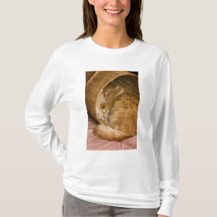 Orange tabby sover i korg tee