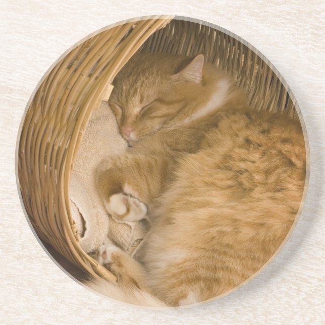 Orange tabby sover i korg underlägg (Framsidan)
