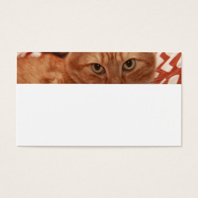 Orange Tabby Visitkort (Framsidan)