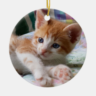 Orange tabby- & vitkattungeprydnad julgransprydnad keramik