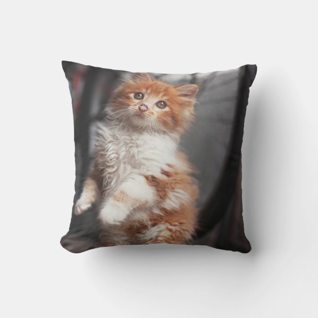 Orange Tabbykattunge Kudde (Framsida)