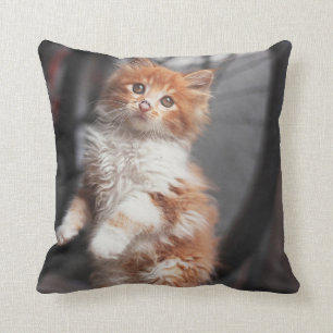 Orange Tabbykattunge Kudde
