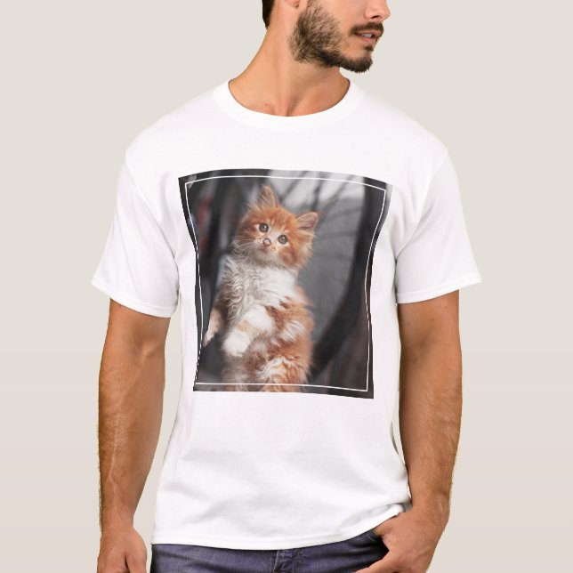 Orange Tabbykattunge T Shirt (Framsida)