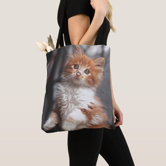 Orange Tabbykattunge Tygkasse (Närbild)