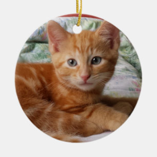 Orange Tabbykattungeprydnad Julgransprydnad Keramik