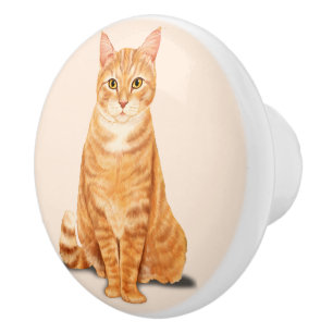 Orange Tabbymaskot Anpassad Knopp