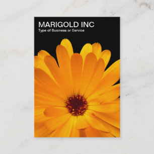 Orange Tagetes - Svart Visitkort