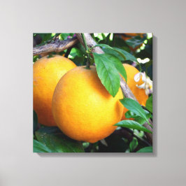 Orange - Tangelo Canvastryck