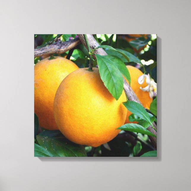 Orange - Tangelo Canvastryck (Framsida)