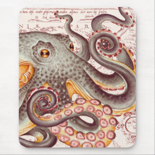 Orange Tangerine Octopus Tentacles Vintage Karta Musmatta