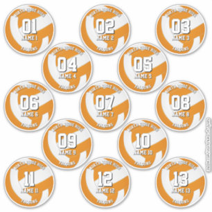 orange teamfärger volleyboll klistermärken 13 idro