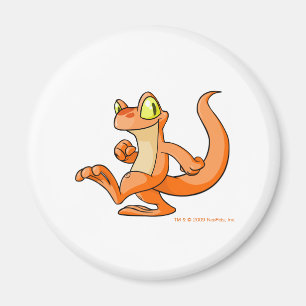Orange Techo på ett sökanden Magnet