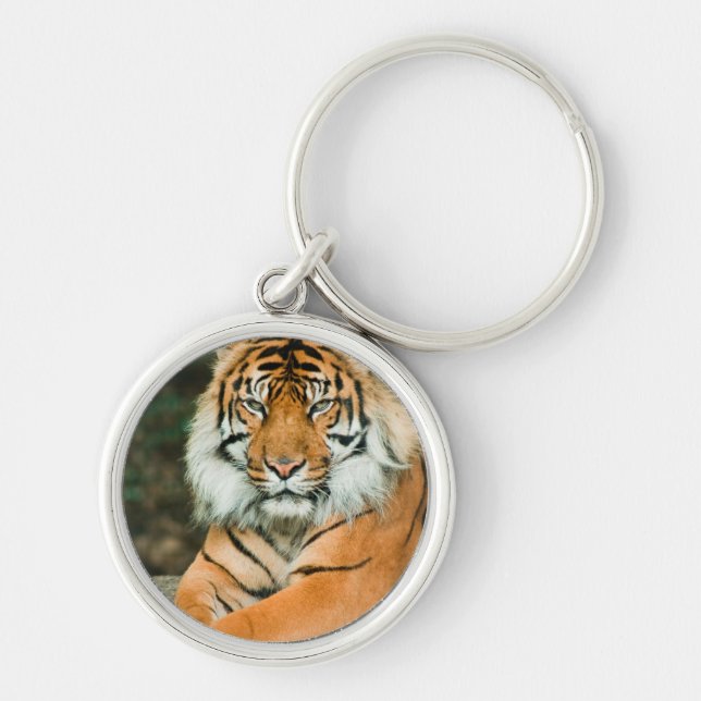 Orange tiger Keychain Rund Silverfärgad Nyckelring (Framsidan)