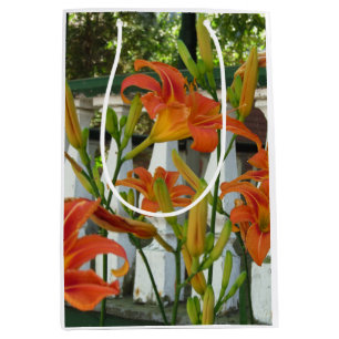 Orange Tiger Lilies - Martha's Vineyard