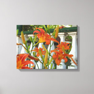 Orange Tiger Lilies - Martha's Vineyard Canvastryck